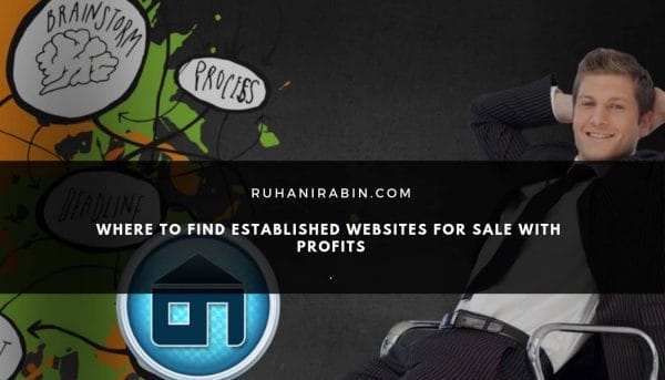 Where to Find Established Websites for Sale with Profits