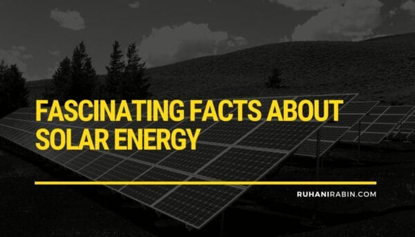 5 Fascinating Facts About Solar Energy