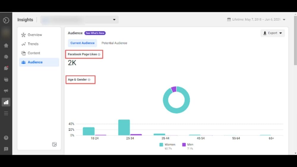 Facebook Business Suite Insights