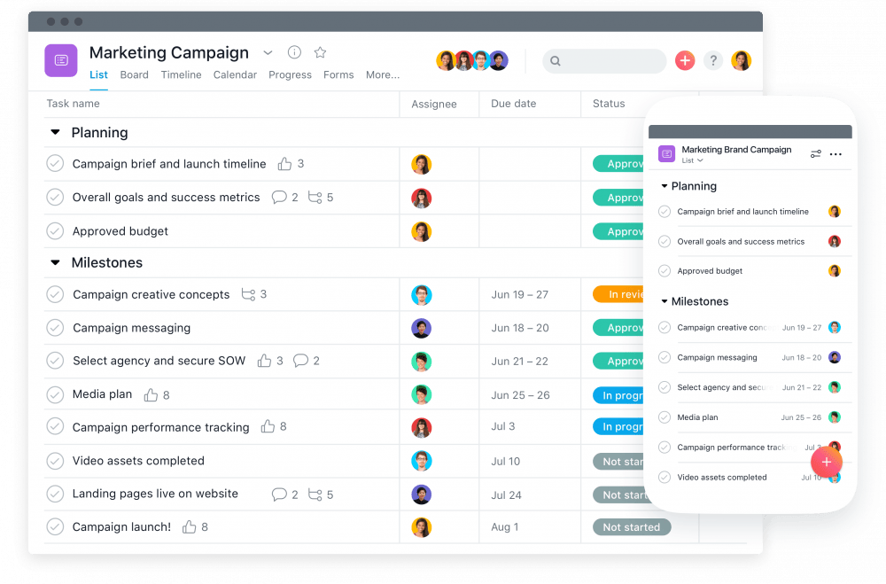 Asana Feature