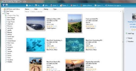 photo manager windows live photo gallery