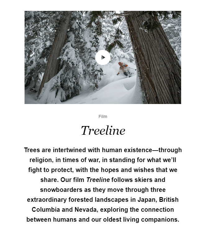 Here’s an example from Patagonia's video email campaign. See how the brand uses a beautiful shot to excite its audience and give them a hint about its content?