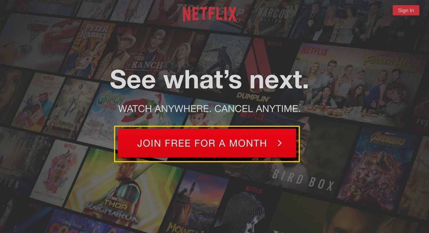 Netflix Call to action