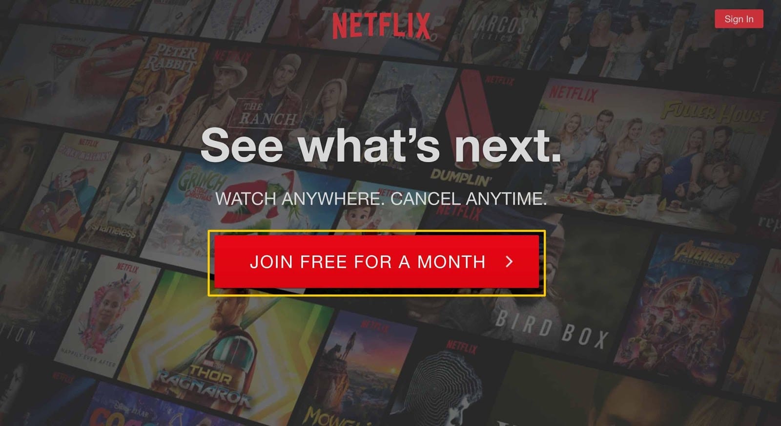 Netflix Call to action